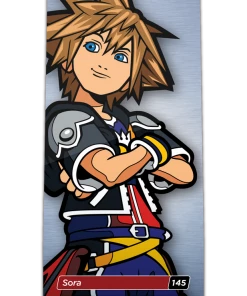 Kingdom Hearts Sora (145)